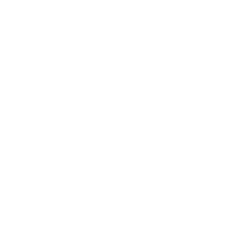 Zuchinni logo